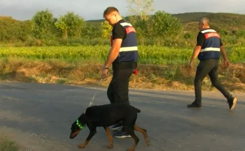 Kayıp Korhan Berzeg düğümü çözüldü mü? Köpeği Tina'nın tahlil sonuçlarından ne çıktı? - Resim: 3