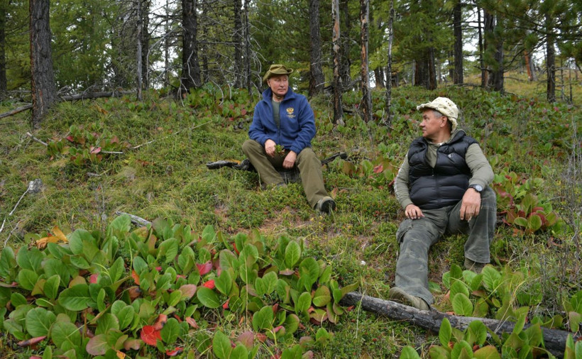 Vladimir Putin mantar topladı bitkileri inceledi - Resim: 2
