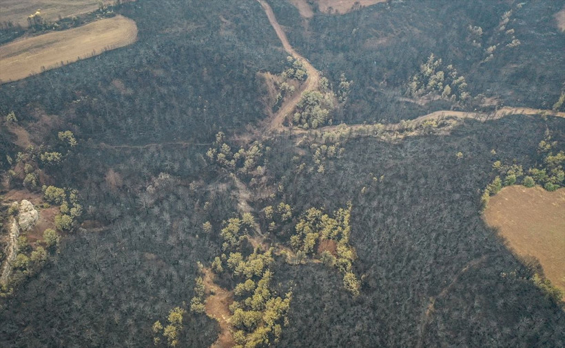 Bilecik'te orman yangınında zarar gören alanlar dronla görüntülendi - Resim: 7