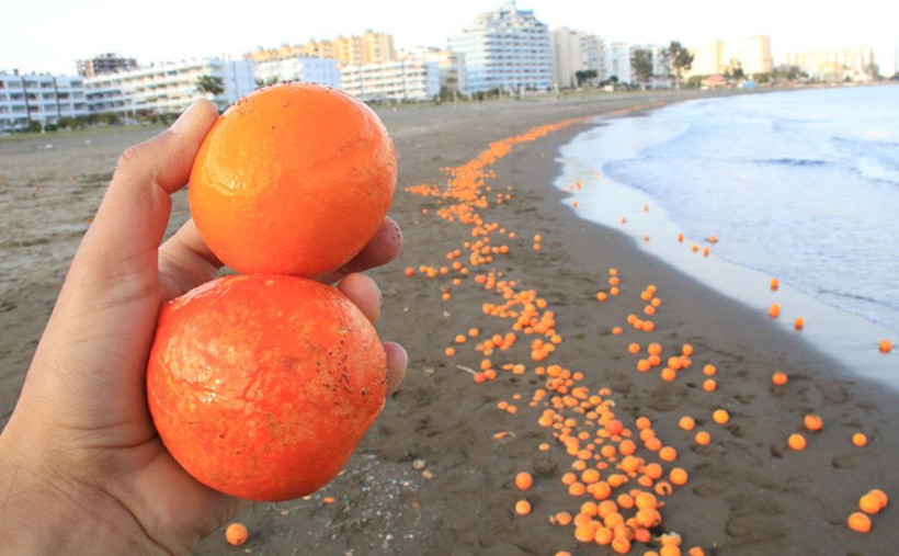Sahilde şaşkına çeviren görüntü! Dalgalar hepsini kumsala taşıdı - Resim: 3