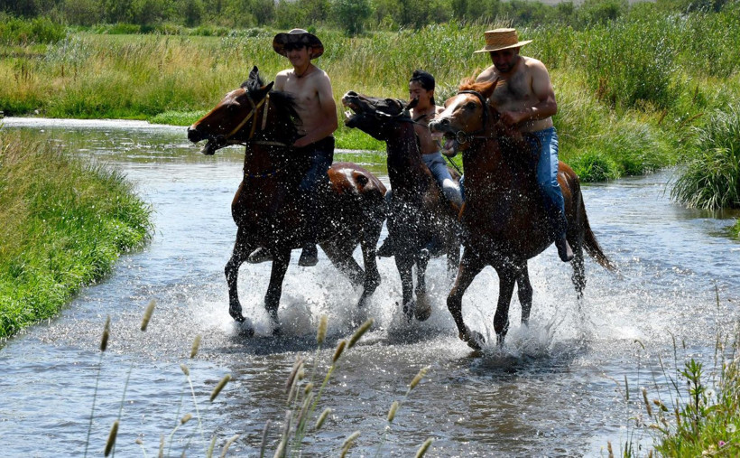 Kars'ta sıcaktan bunalan atlar derede serinletiliyor! - Resim: 1