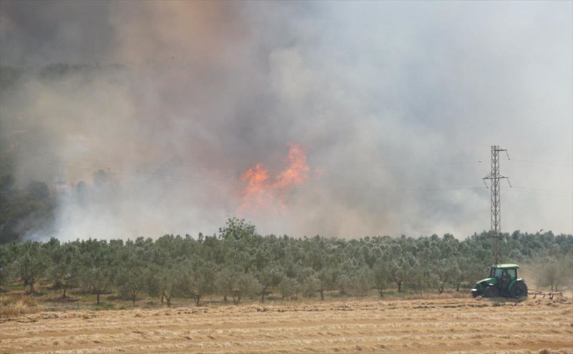 Tekirdağ'da anız yangını paniği: Alevler ormana sıçradı - Resim: 1