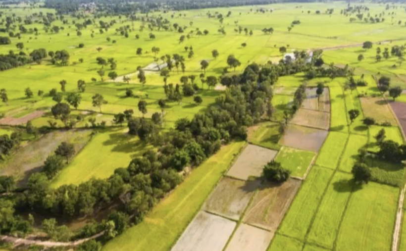 Binlerce vatandaşa tapu fırsatı! 2B arazileri yeniden satışa çıkıyor - Resim: 2