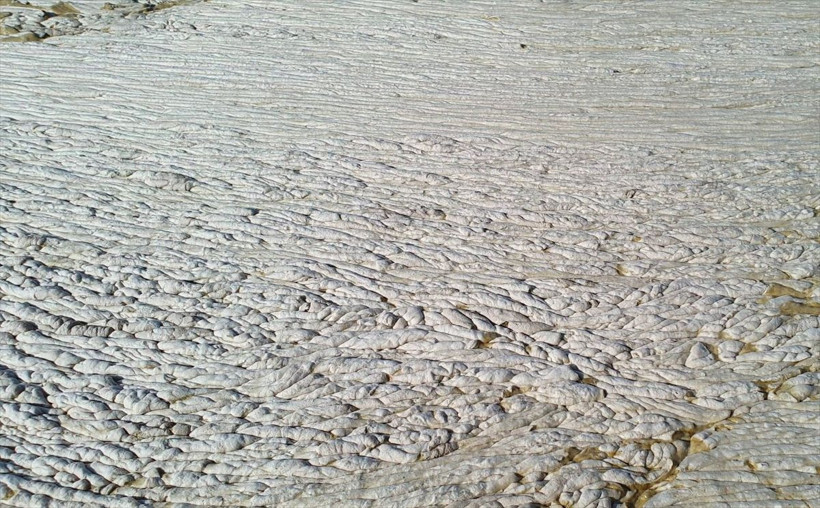 Marmara'daki müsilajın yoğunluğu böyle görüntülendi! "Deniz betonla kaplı gibiydi" - Resim: 3