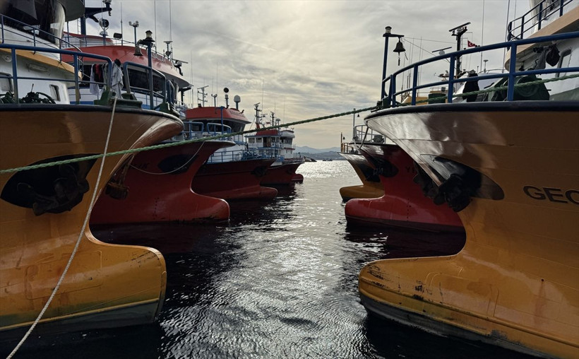 Balık bolluğu yaşanıyor! Balıkçıların Karadeniz'deki hamsi avı sürüyor - Resim: 1