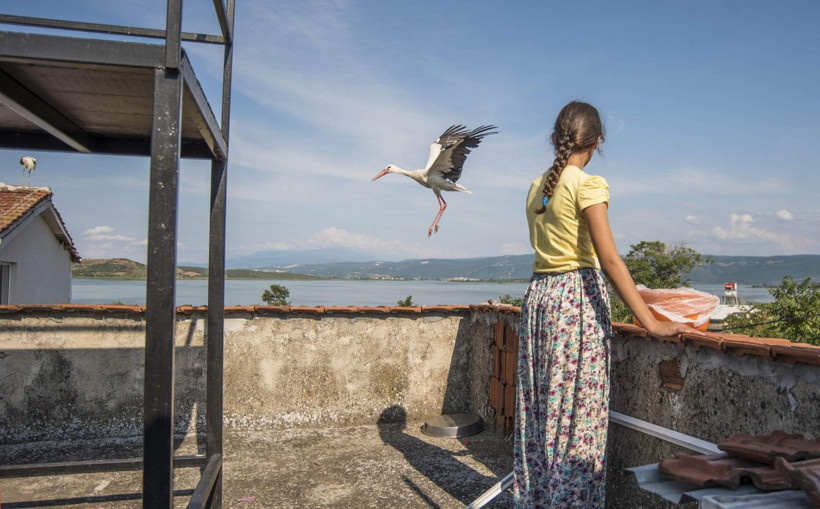 Bursa'da 12 yaşındaki Beyzanur'un leyleklerle dostluğu şaşırtıyor! - Resim: 3