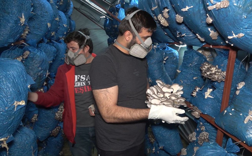 Çocukluk arkadaşı 3 mühendis bu işe başladı paraya para demiyorlar! Kilosu 70 liradan satılıyor - Resim: 5