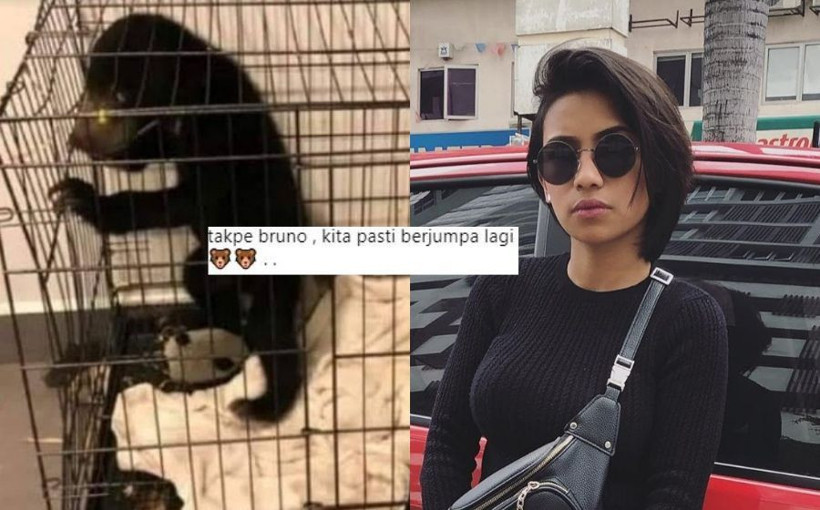 Ünlü şarkıcı köpek sandı eve götürdü mahkemelik oldu! - Resim: 3