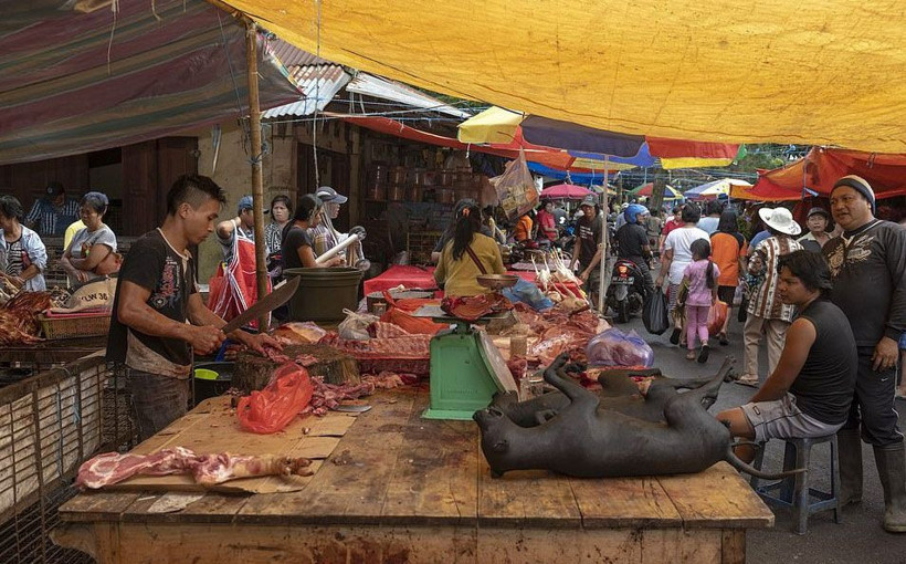 Koronavirüsün üreme alanı deniyor Tomohon pazarında korkutan görüntü - Resim: 3