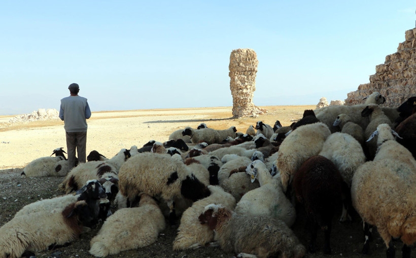 Van Gölü'nde sular çekildi tarihi kale ortaya çıktı