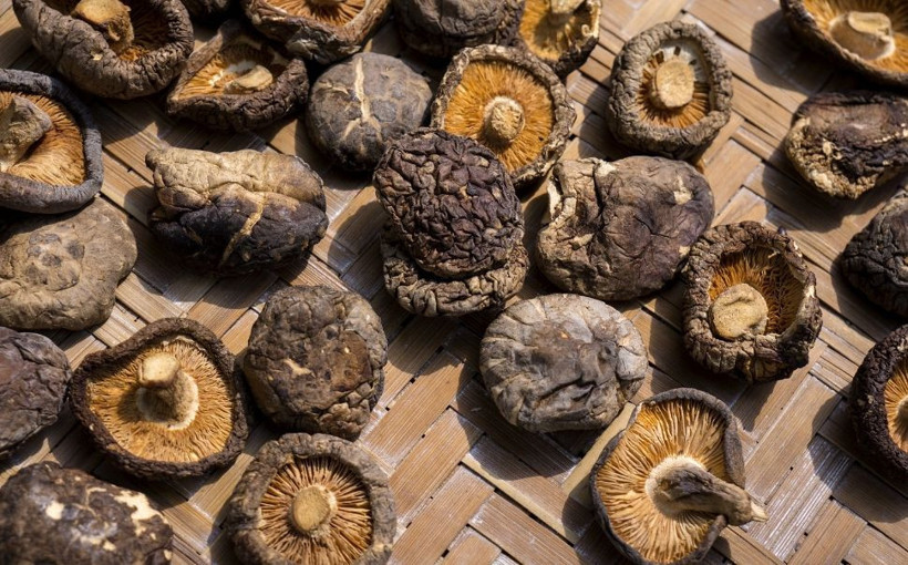 İmparatorların yiyeceği Shiitake mantarı! İnanılmaz faydaları var - Resim: 3