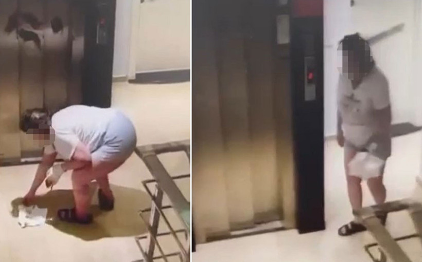 Alanya'da kabus 2 ay sonra geri döndü apartman sakinleri tedirgin