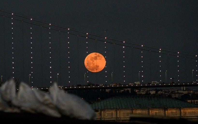 Süper Kanlı Kurt Ay' için geri sayım  - Resim: 2