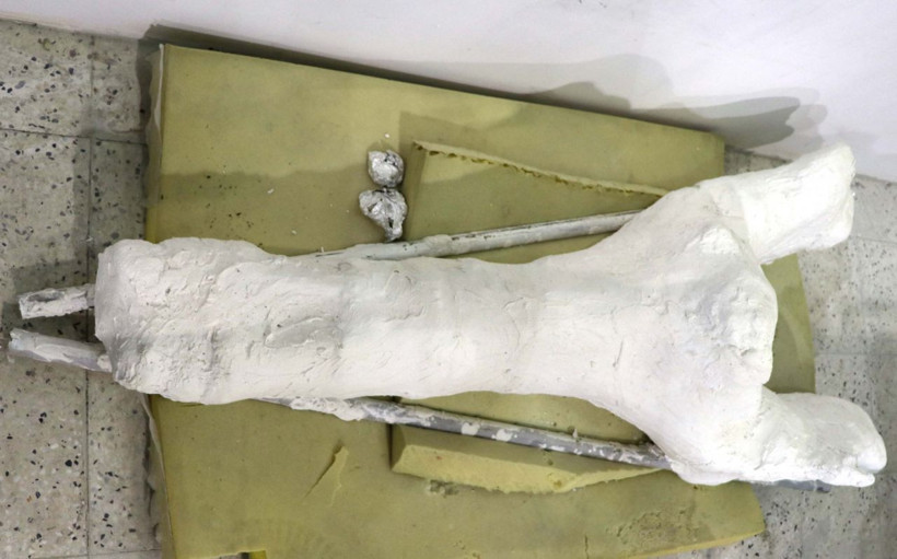 Kayseri'de veteriner yamaçta farketti yurt dışından bilim insanları geliyor - Resim: 3