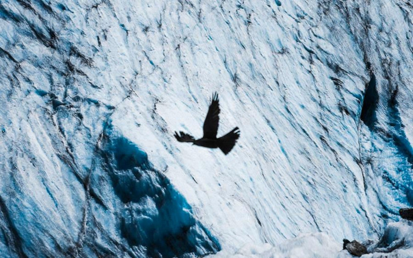 Avrupa'nın tepesinden rüya gibi manzaralar - Resim: 4