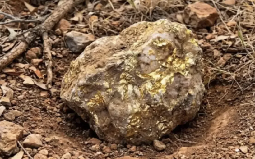 Yıllardır kimse böylesini görmedi! Patates sandı servet çıktı! - Resim: 2
