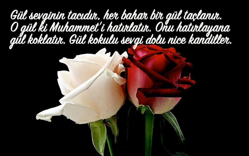 En iyi Mevlid Kandili mesajları resimli kandil kutlama sözleri - Resim: 3