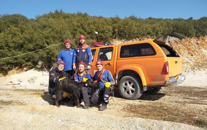 Bursa'da uçuruma düşen keçiyi AFAD kurtardı - Resim: 3