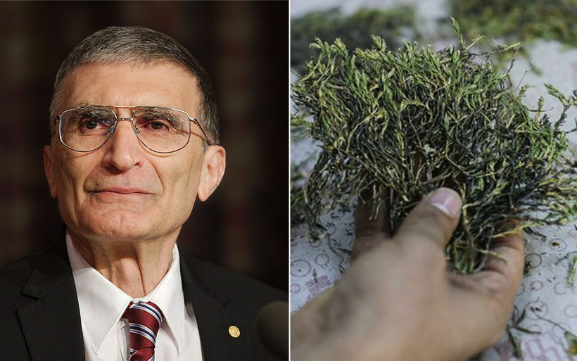 Halk havalotu diye biliyor Afyon'da bulundu adı Aziz Sancar oldu - Resim: 1