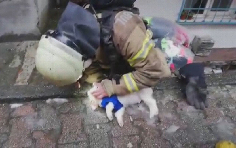 İtfaiye eri köpeği hayata döndürmek için böyle mücadele verdi - Resim: 1