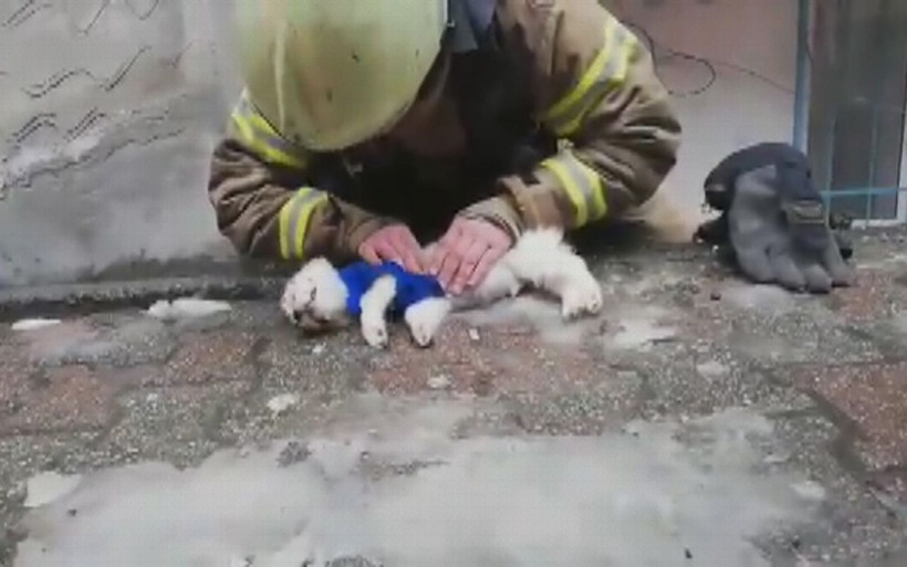 İtfaiye eri köpeği hayata döndürmek için böyle mücadele verdi - Resim: 2