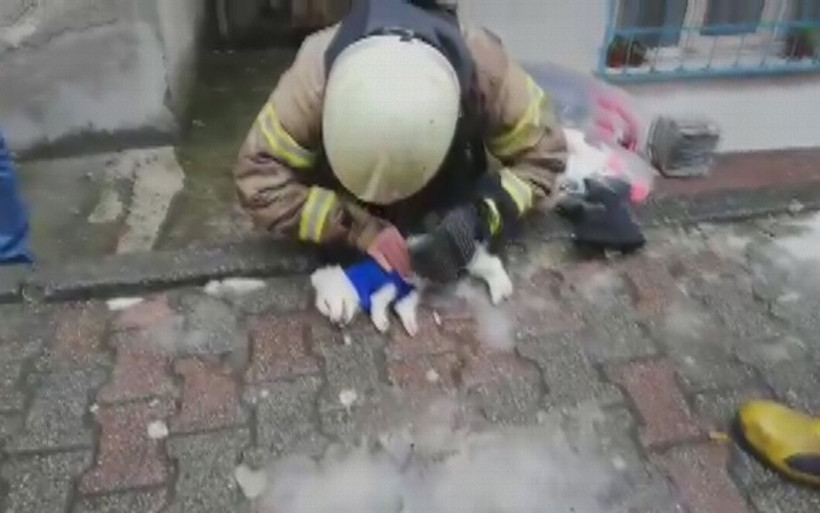 İtfaiye eri köpeği hayata döndürmek için böyle mücadele verdi - Resim: 3