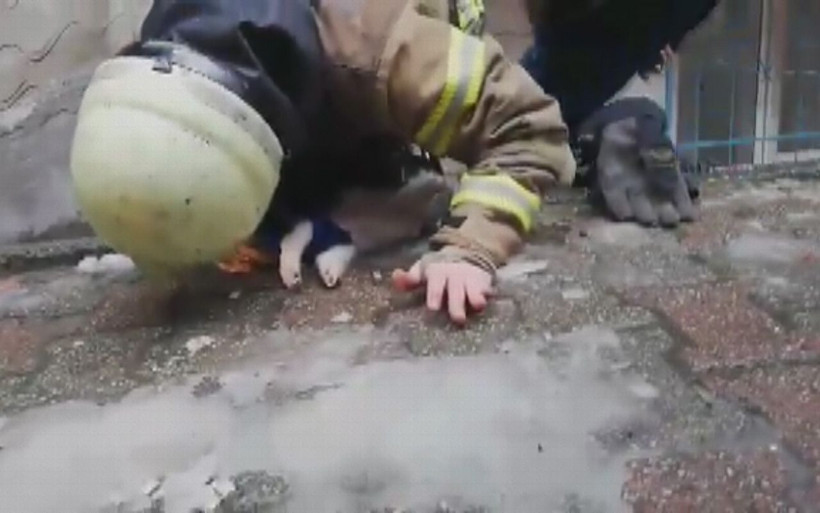 İtfaiye eri köpeği hayata döndürmek için böyle mücadele verdi - Resim: 4