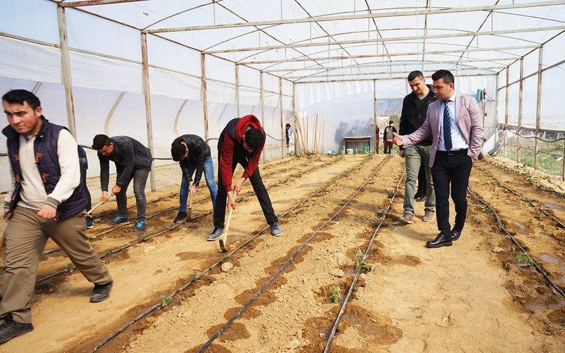 Manisalı lise öğrencilerinin okulda yetiştirdiği istiridye mantarlarına ilgi - Resim: 2