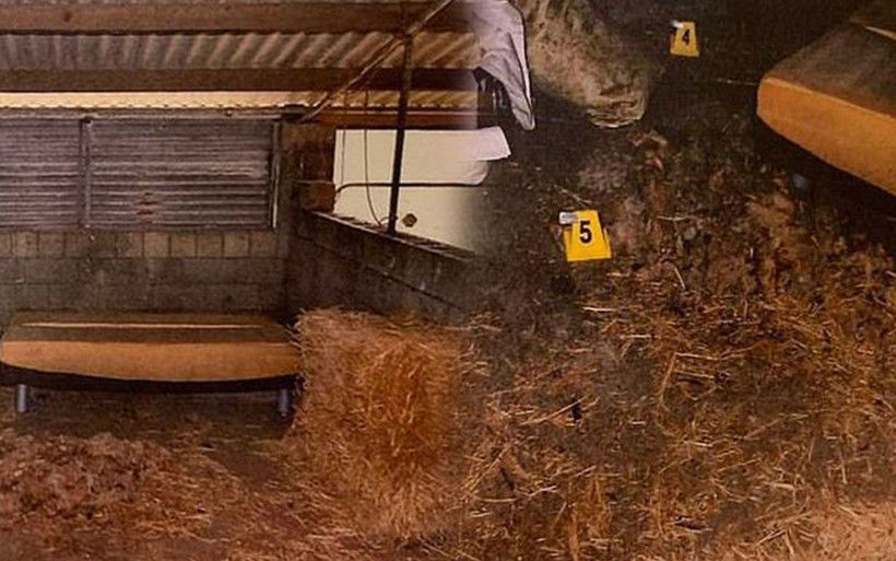 Dehşete düşüren tecavüz! Genç kızı domuz kulübesinde çırılçıplak soyup... - Resim: 2