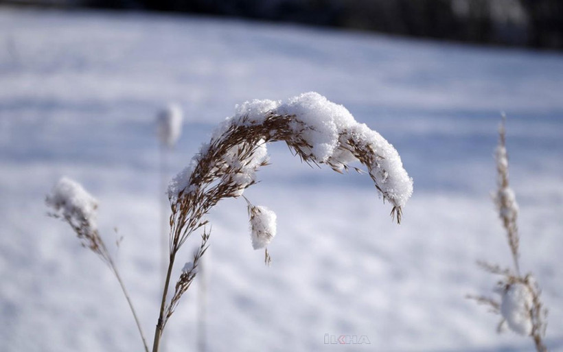 Meteorolojiden 'zirai don' uyarısı! - Resim: 1
