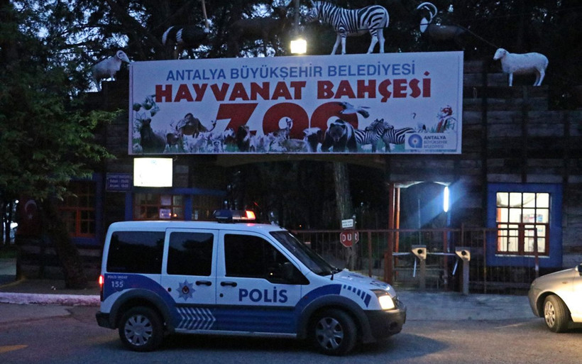 Antalya’da hayvanat bahçesinden kurt kaçtı! - Resim: 1