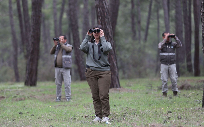 Sürüsündeki kurtlarla kavga etti kaçtı! Antalya küskün kurtu arıyor - Resim: 3