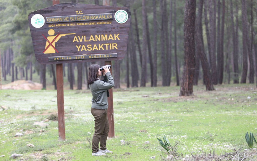 Sürüsündeki kurtlarla kavga etti kaçtı! Antalya küskün kurtu arıyor - Resim: 4