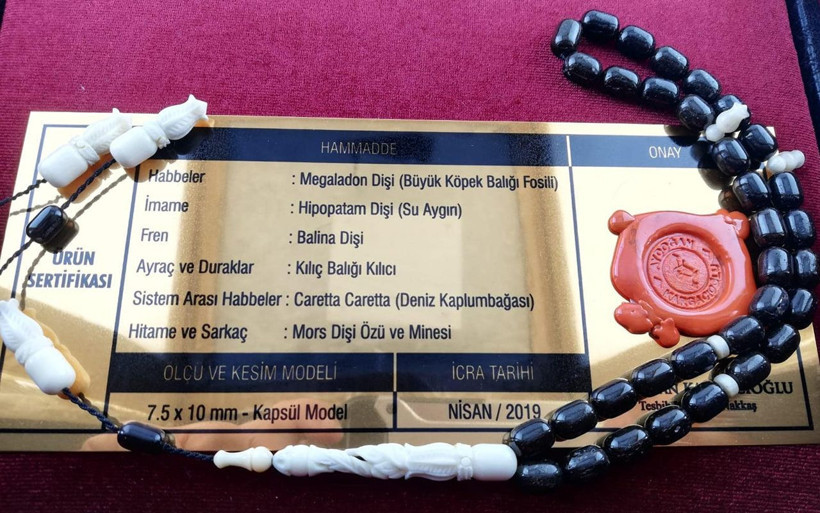 MHP lideri Bahçeli'ye çok özel hediye - Resim: 4