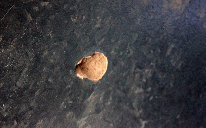 İstanbul Maltepe'de maganda galeriyi silahla taradı - Resim: 3