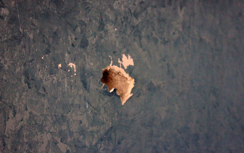 İstanbul Maltepe'de maganda galeriyi silahla taradı - Resim: 4