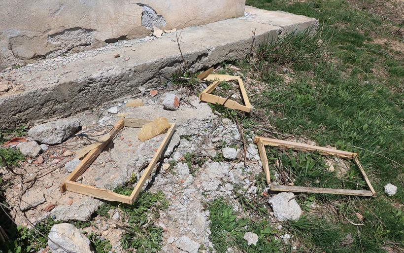 Köylüler çekti Erzincan'da aç kalan ayılar bal aramaya eve girdi - Resim: 3