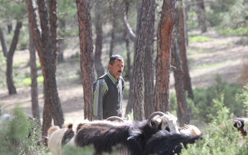 32 yıldır ormanda yaşıyorlar - Resim: 1