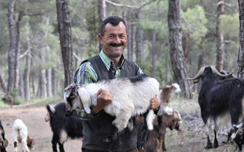 32 yıldır ormanda yaşıyorlar - Resim: 2