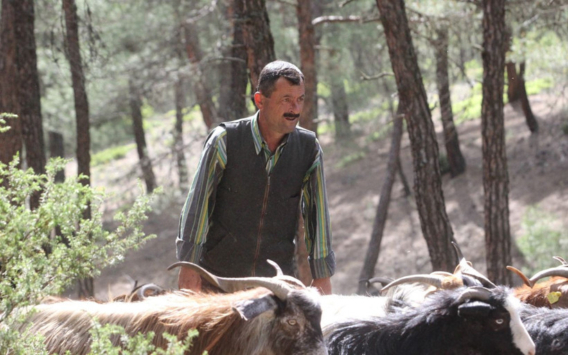 32 yıldır ormanda yaşıyorlar - Resim: 3