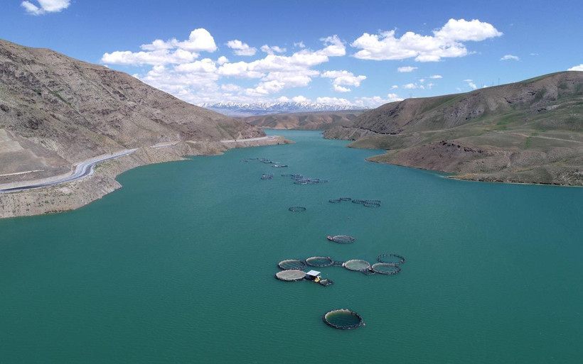 Van'da üretiliyor! 5 kente gönderiliyor - Resim: 1