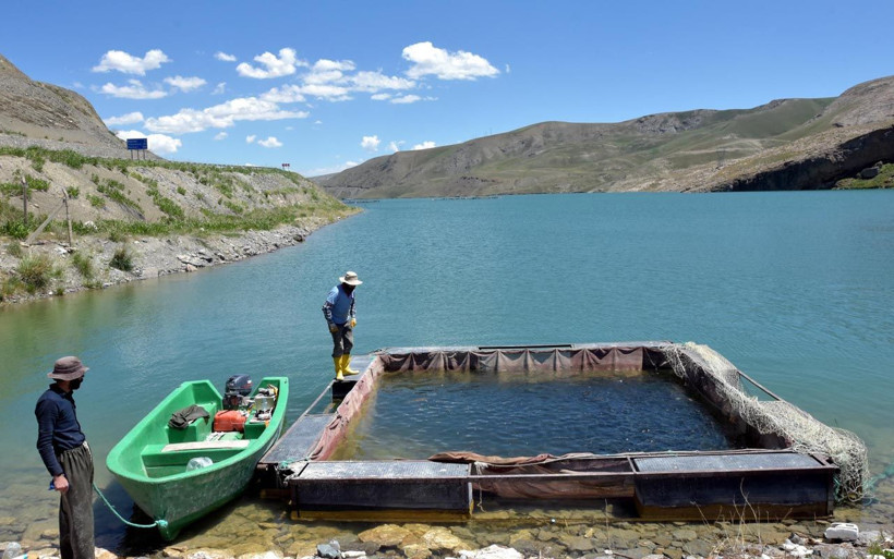 Van'da üretiliyor! 5 kente gönderiliyor - Resim: 4