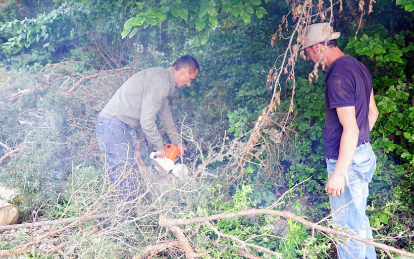 Kastamonuda inanılmaz olay! Ayı orman işçilerini 'rehin' aldı - Resim: 2