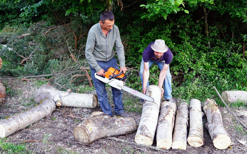Kastamonuda inanılmaz olay! Ayı orman işçilerini 'rehin' aldı - Resim: 3
