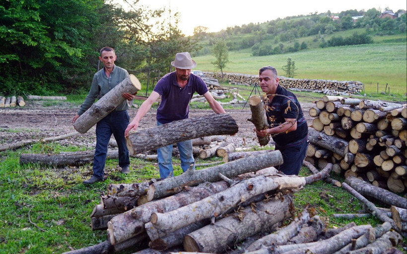 Kastamonuda inanılmaz olay! Ayı orman işçilerini 'rehin' aldı - Resim: 4