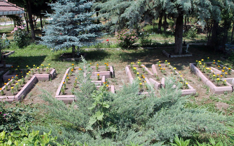 Hasret sona erdi yitik lale sılaya geri döndü - Resim: 4