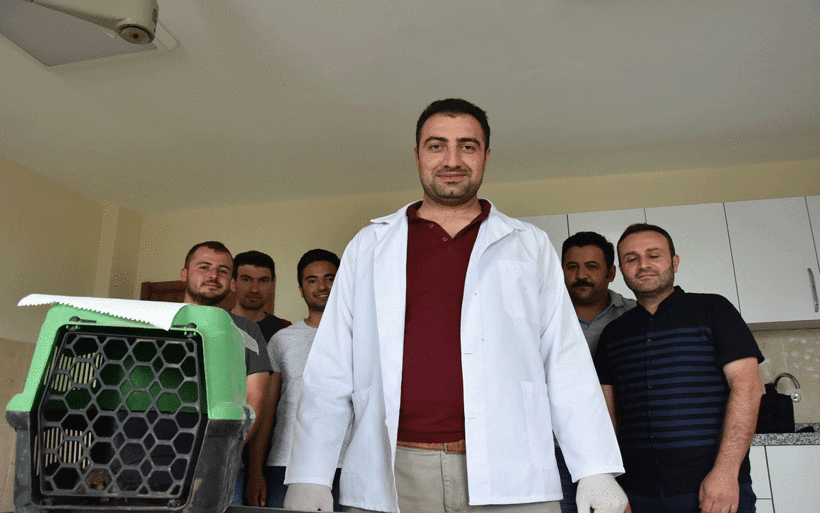 Nesli tükenmekte olan fare türlerinden biri! Bakın hangi ilde görüldü - Resim: 2