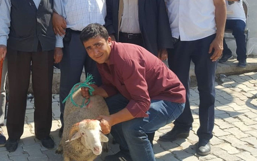 Kuzunun fiyatını duyanlar gözlerine inanamadı - Resim: 1