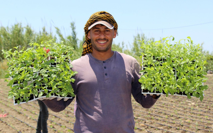 Antalya'da Sibel Cesur uçak krizini fırsata çevirdi, ekonomiye katkı sağladı - Resim: 3