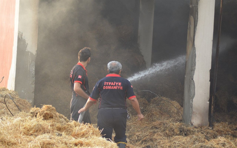 Osmaniye'de gençlerin mangal keyfi kötü bitti - Resim: 4